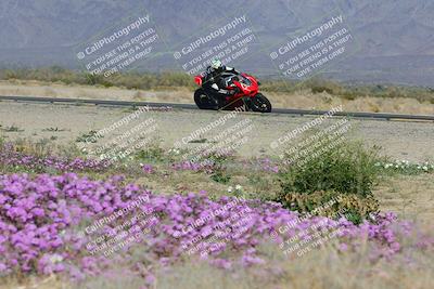 media/Feb-04-2023-SoCal Trackdays (Sat) [[8a776bf2c3]]/Turn 15 Inside Blooming (1050am)/